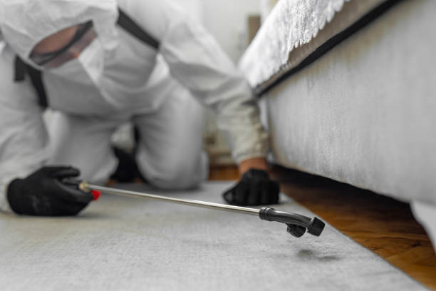 Professional Pest Control technician working in Sherman County County, TX